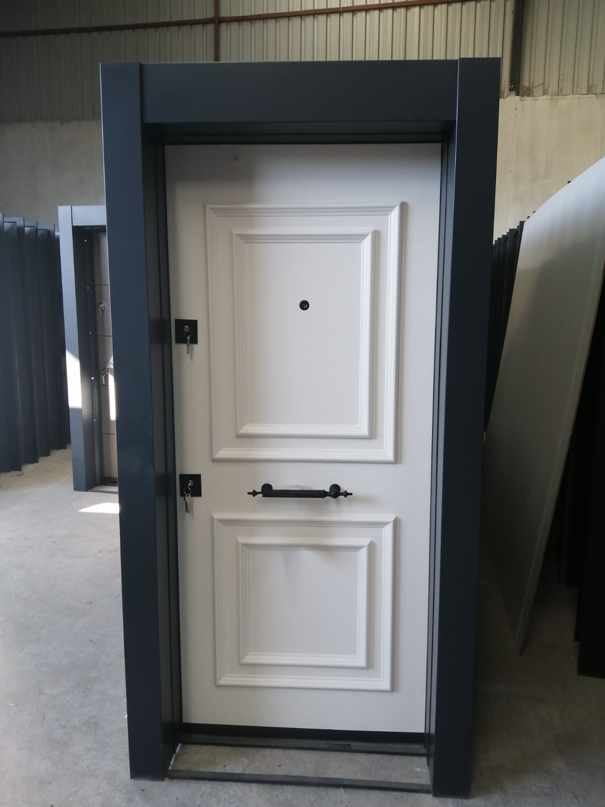 Çelik Kapı Premium - 2